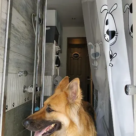 Dog Friendly Nancecliff Looe