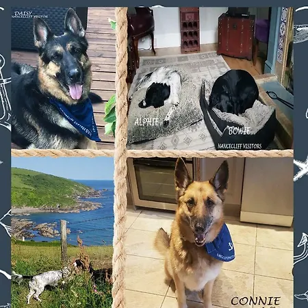 Holiday home Dog Friendly Nancecliff Looe