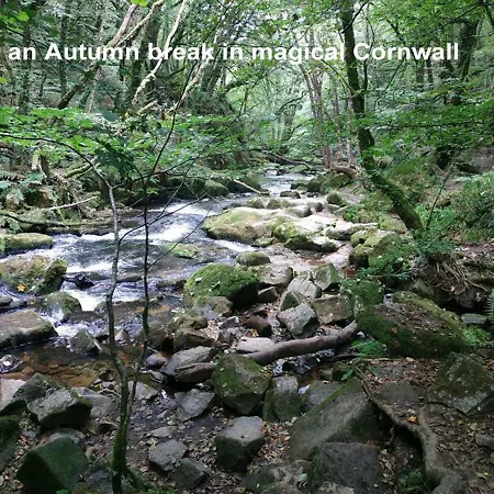 Dog Friendly Nancecliff Holiday home *