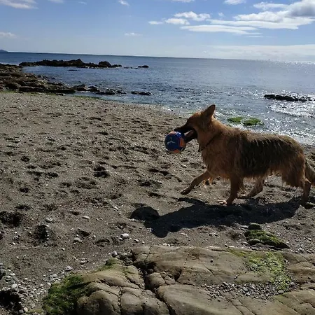 Dog Friendly Nancecliff Holiday home